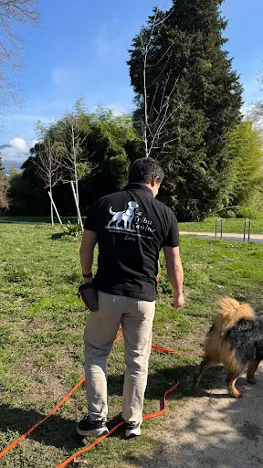 La Tribu Canine - Educateur Comportementaliste Canin sur Chambéry