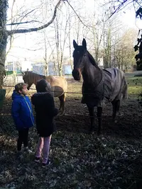 Les Ecuries du Forezan