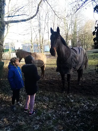 Les Ecuries du Forezan
