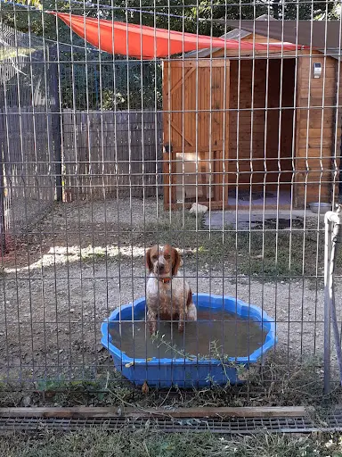 Pension Canine du Rigaou