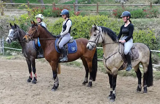 Centre Equestre les Chimères
