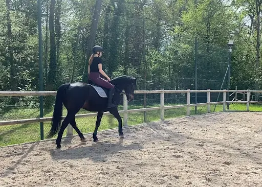 Ecurie Active du Tichweg
