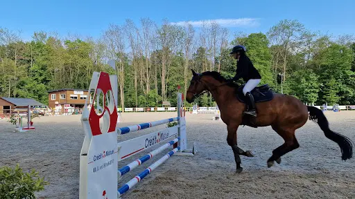 Loisirs Equestre du Dachsbuhl Colmar