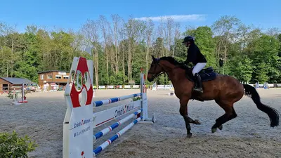 Loisirs Equestre du Dachsbuhl Colmar