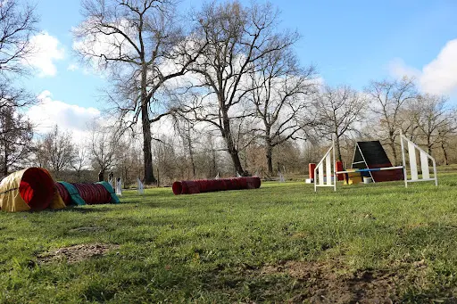 Club Canin des Aéro’chiens