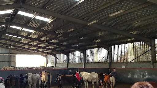 Poney Club Colomiers