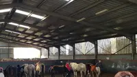 Poney Club Colomiers