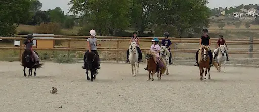Au P Tit Poney Club