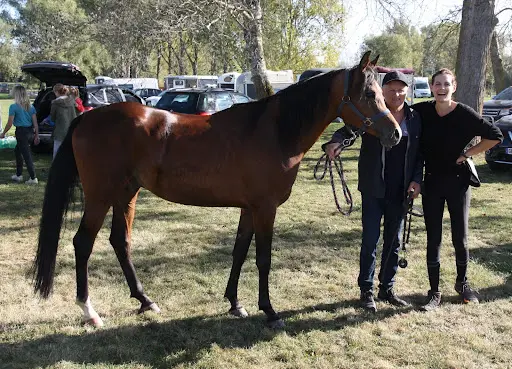 Ecurie de Galande