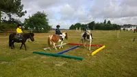 Poney-club de Combrit