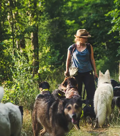 Charline Devaux Éducateur et Comportementaliste Canin