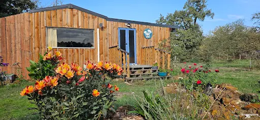 Le Chalet des Pins - Pension Féline