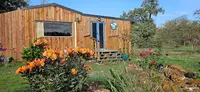 Le Chalet des Pins - Pension Féline