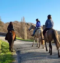 Les Chevaux du Rohan