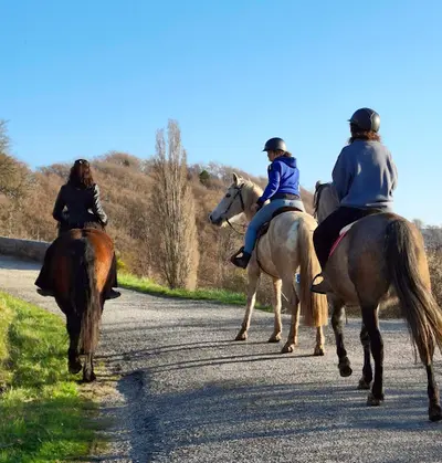 Les Chevaux du Rohan