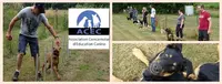 Acec (association Concarnoise d'Education Canine)
