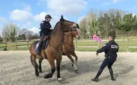 Haras des Sources - Centre Équestre, Poney Club & Ecurie de Propriétaires - 77