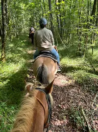 Centre Equestre de " West Wood Ranch "