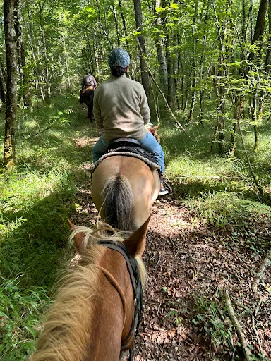 Centre Equestre de " West Wood Ranch "