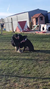 Club d'Éducation Canine de Condat sur Vienne