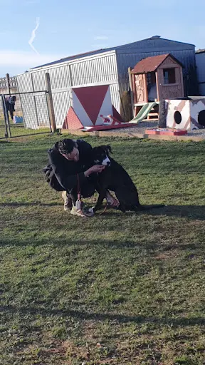 Club d'Éducation Canine de Condat sur Vienne