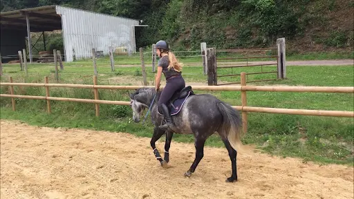 Haras de Cresme