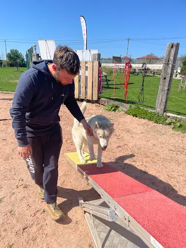 L’accro Patte