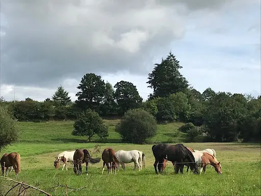 Val de Vire Equitation