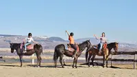 Roc’aubrac École D’équitation Western
