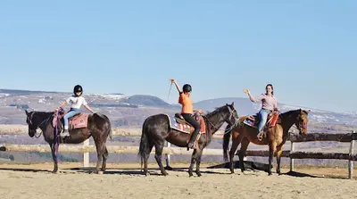 Roc’aubrac École D’équitation Western