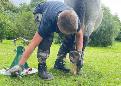 Harmfield Solutions - Matéo Bellais - Podologie Equine