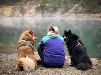 Cali Dog