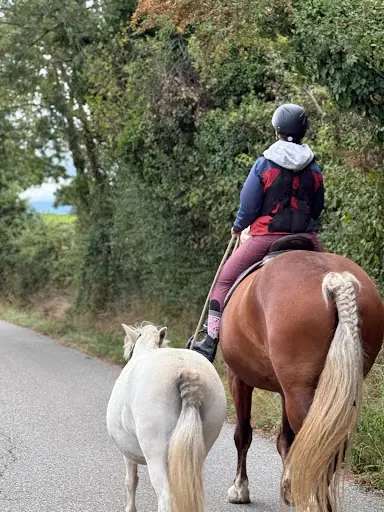 Ecurie des Grands Chemins