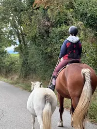 Ecurie des Grands Chemins