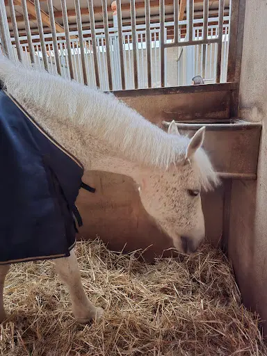 Centre Equestre Contamine