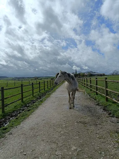 Haras du Cheval Gris