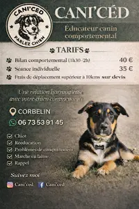 Cani Ced