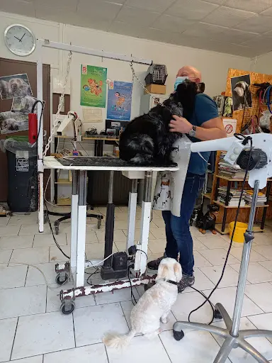 Lui Vous et Moi