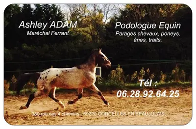 Ashley Adam Maréchal Ferrant / Podologue Equin.