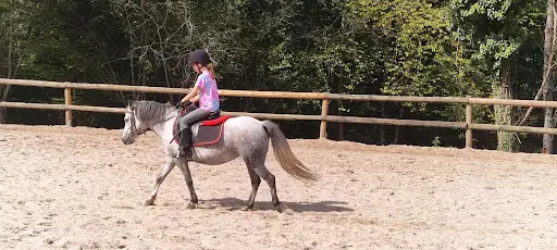 Haras de l'Ondine