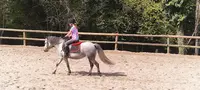 Haras de l'Ondine