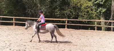 Haras de l'Ondine