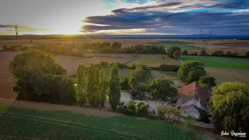 Ecurie de Grosbois Pension Chien Chat Chevaux