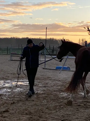 Les Ecuries Educ Horse
