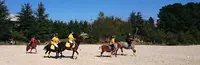 Les Poneys d'Eole