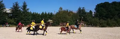 Les Poneys d'Eole