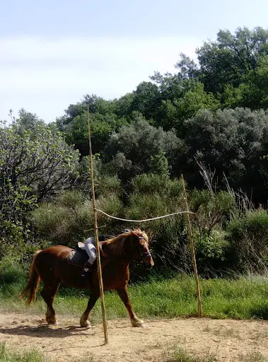 Equitêt Rando Centre Équestre Pleine Nature