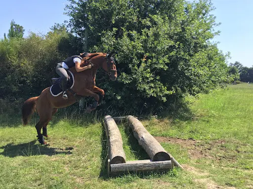 P2c Équitation et l'Atel