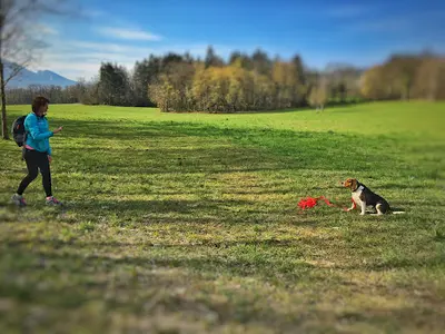 Mont-blanc Dog Center