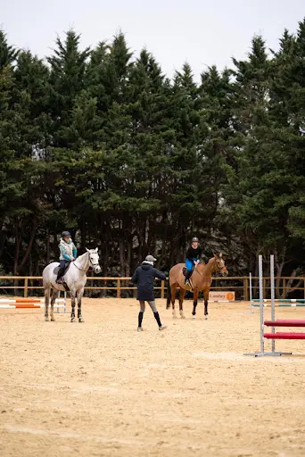 Haras de la Forêt